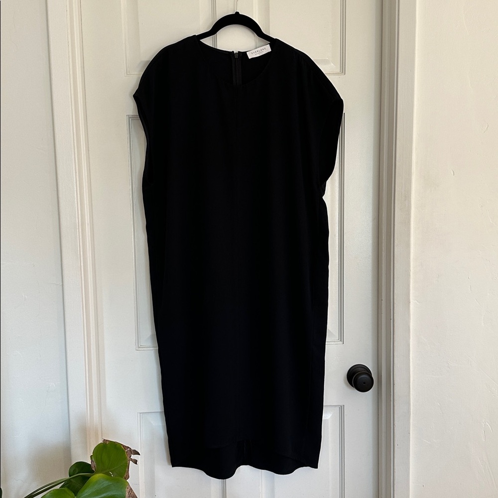 Everlane Black Dress
